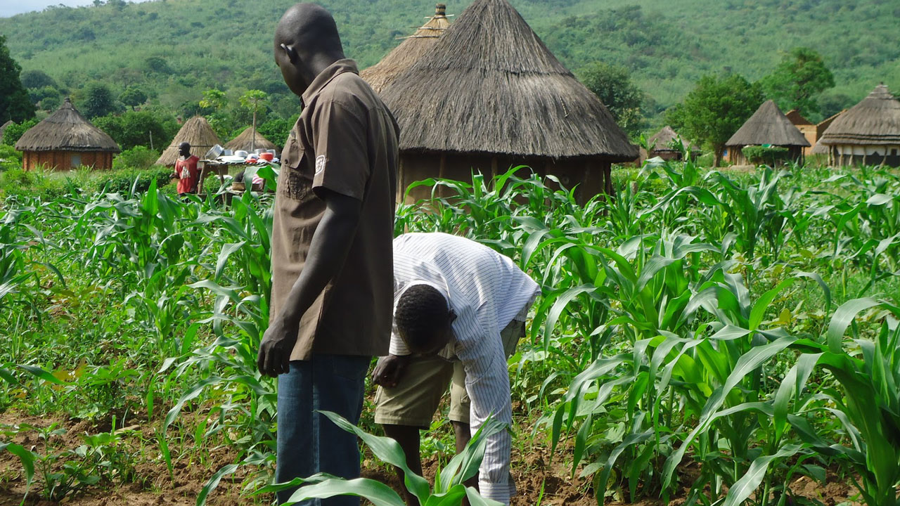 Can USAID’s Agricultural Investment Initiative address Nigeria’s Climate Resilience Challenge?