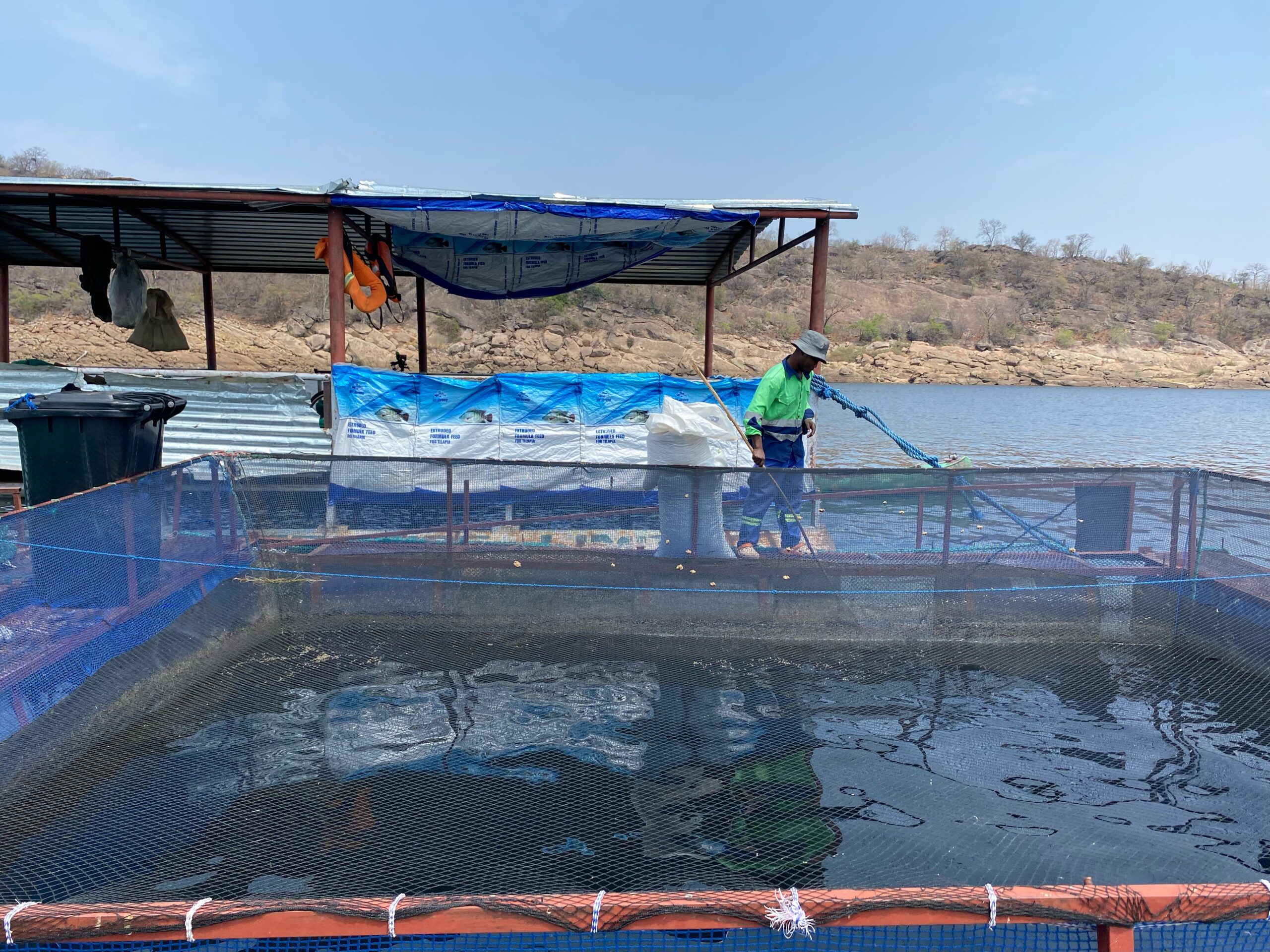 Cage Aquaculture on Lake Kariba, Zambia